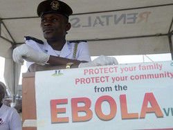 Эпидемия Эболы началась с игр мальчика в дупле