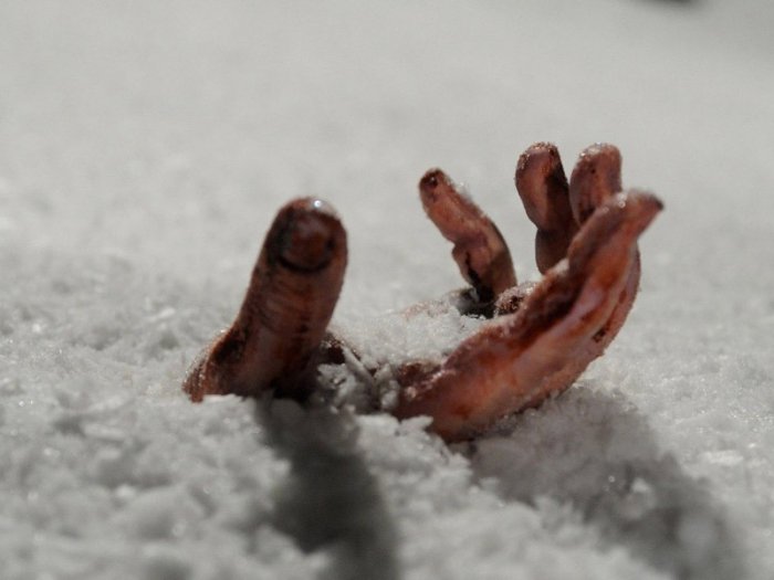 Подросток в Иркутской области насмерть замерз по дороге из школы домой