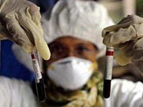 В Чехии выявлено 20 очагов птичьего гриппа