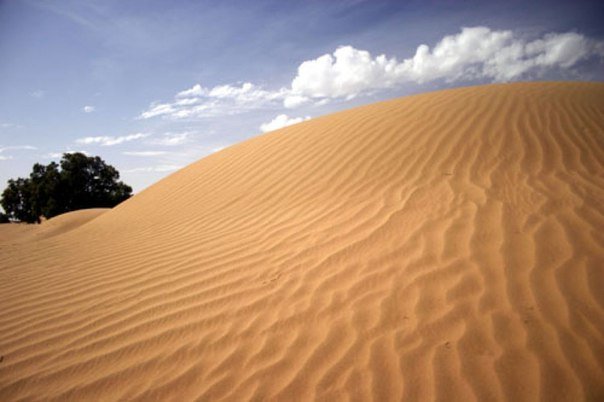 Ученые утверждают, что пустыня Сахара стала более влажной