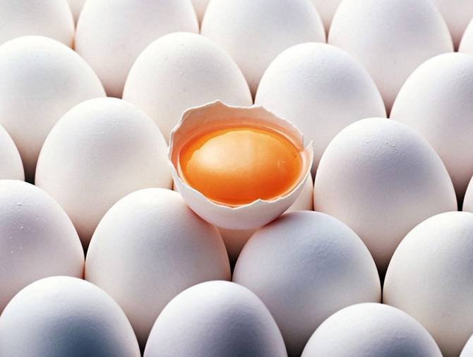 Куриные яйца защитят от диабета.