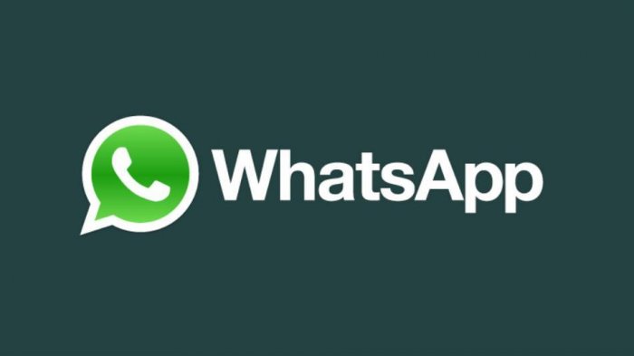 WhatsApp  900  
