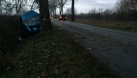 Под Калининградом микроавтобус из-за тумана врезался в дерево: водитель погиб