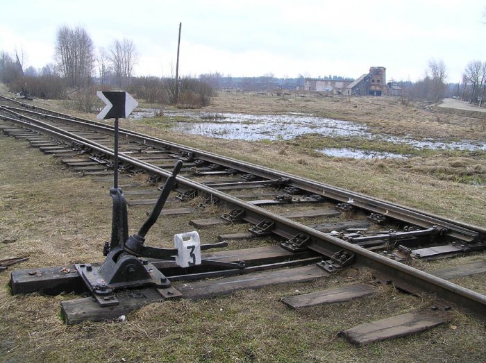 В Хабаровском районе поезд насмерть сбил женщину