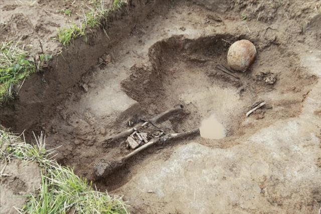 На Кубани нашли захоронение древних людей-гигантов