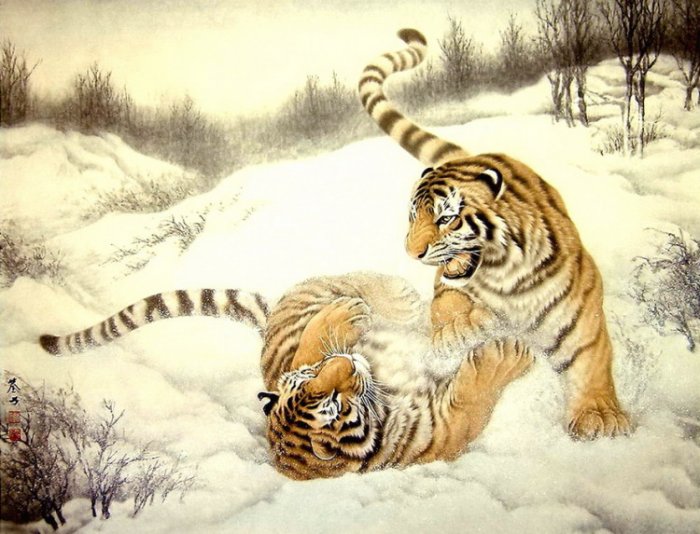 Учёные изучают ДНК тигров и леопардов