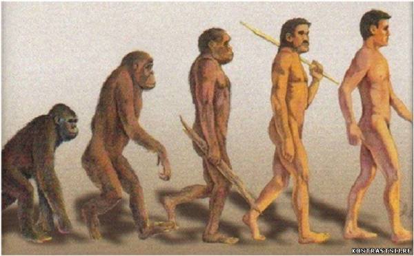 Люди «постарели» на 400 тысяч лет