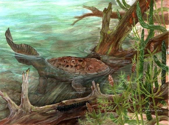 Ученые открыли неизвестный ранее вид гигантской хищной амфибии