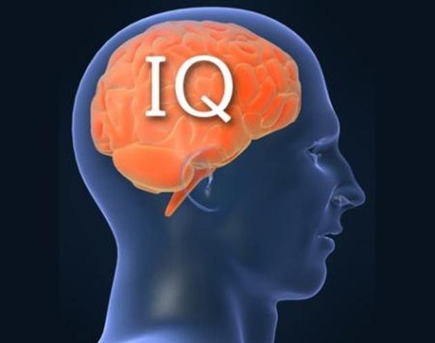  ,   IQ      