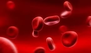 Удочки из нанотрубок помогут вылавливать раковые клетки из крови.