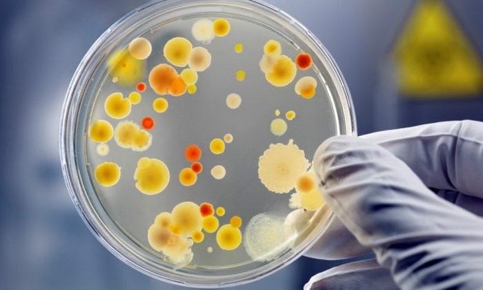 Химик, который не моется 12 лет, заявил, что его тело очищают бактерии