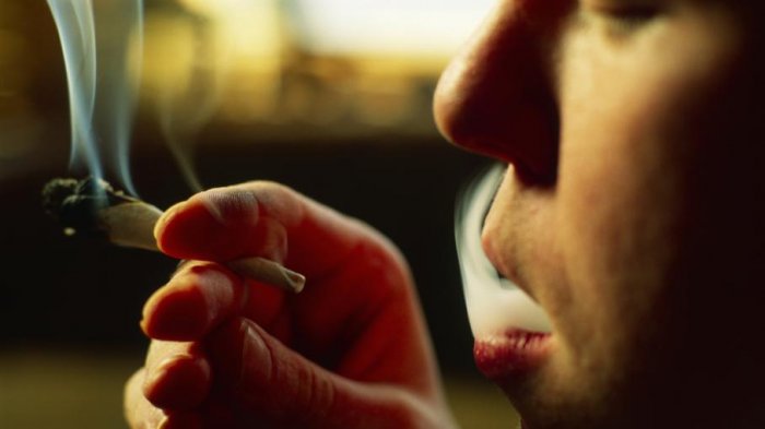 Сенат Канады одобрил легализацию марихуаны в стране 