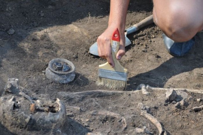 Самые древние в мире останки скелетных животных обнаружены в Якутии