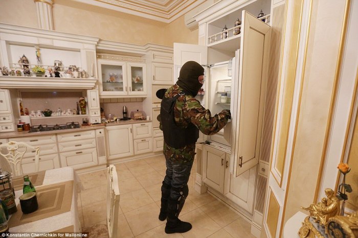 Зеркало украинской революции на примере особняка В. Пшонки. Зеркало украинской революции на примере особняка В. Пшонки.