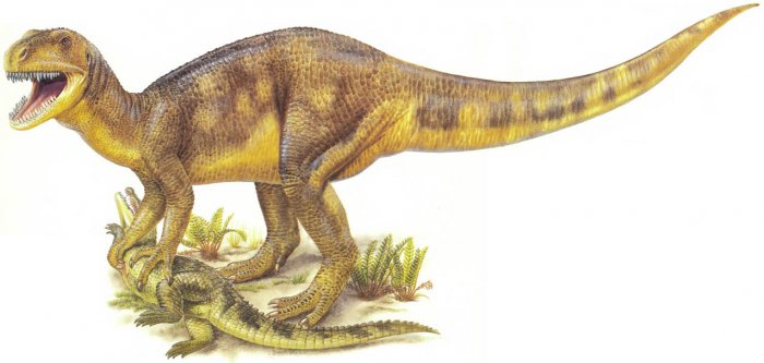 Ученые нашли кости динозавров, которым более 70 миллионов лет