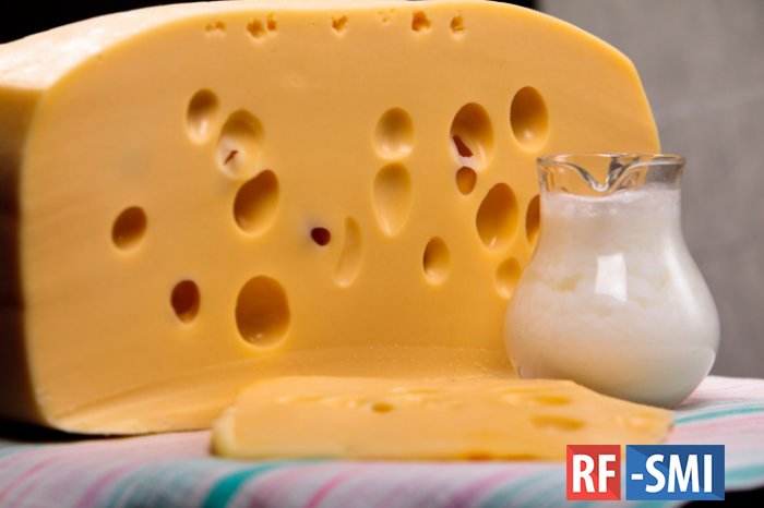 Диетолог рассказала о полезных и вредных свойствах сыра