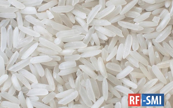 В. Путин удивился размеру экспорта российского риса....