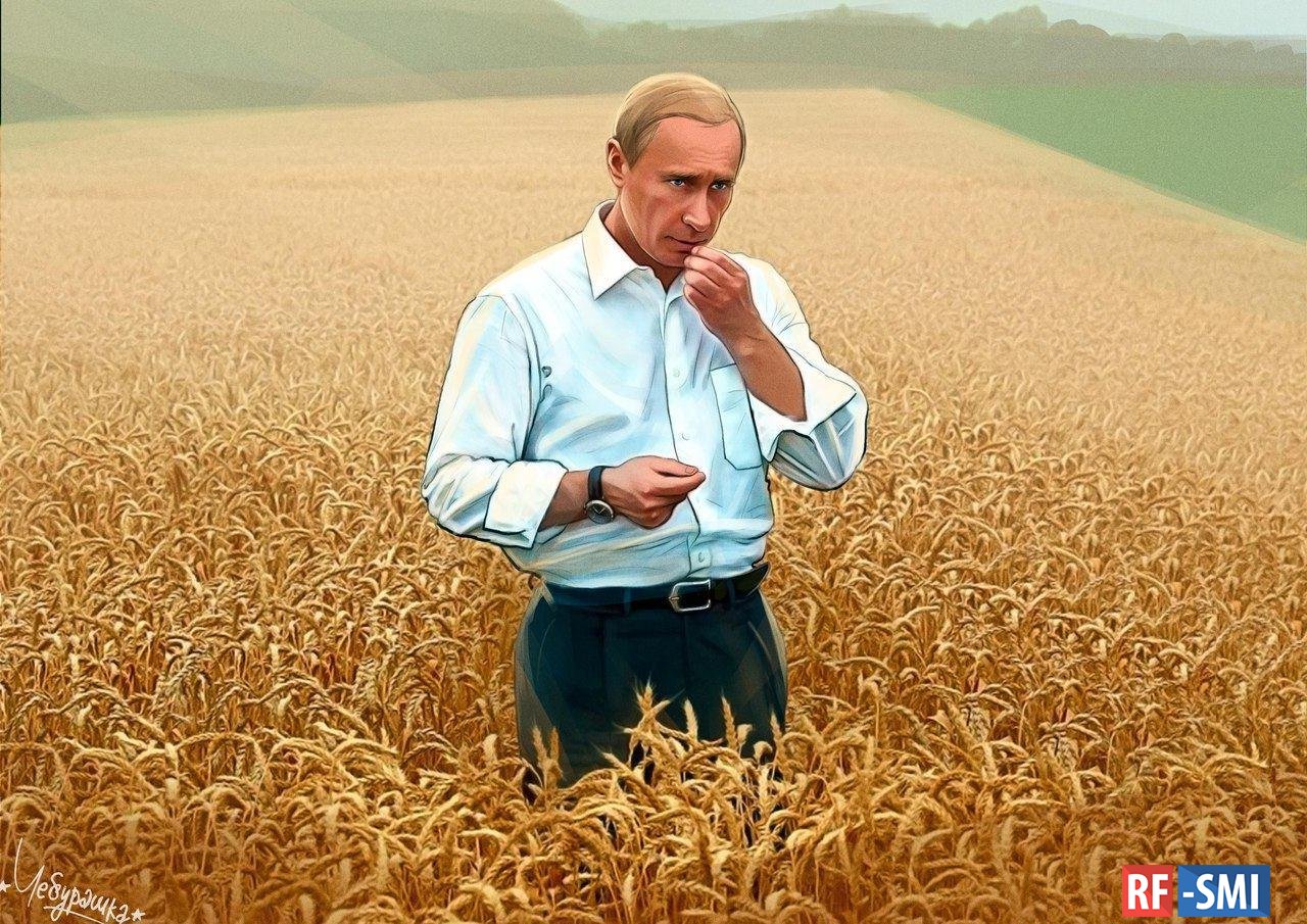 Политическое поле россии. Путинин в пшеничном поле.