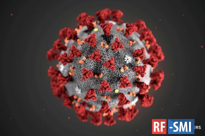 Более 200 000 жертв от коронавируса предсказали США к октябрю