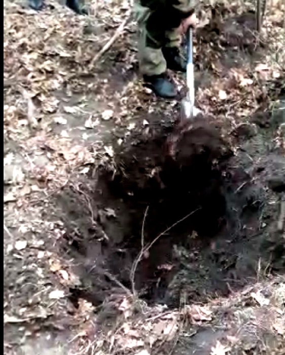 Под Тамбовом нашли тело пропавшей 13-летней девочки