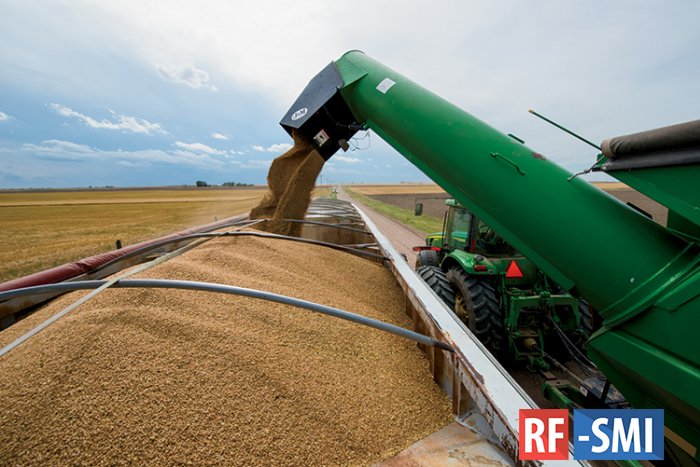 РФ в августе поставила исторический рекорд по экспорту зерна