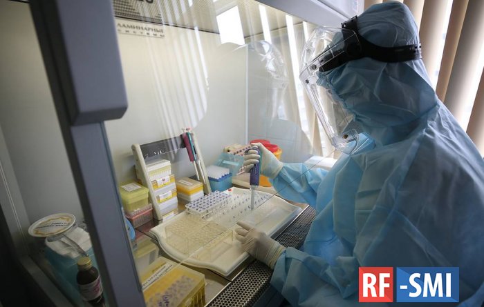 Российские учёные получили антитела, нейтрализующие коронавирус