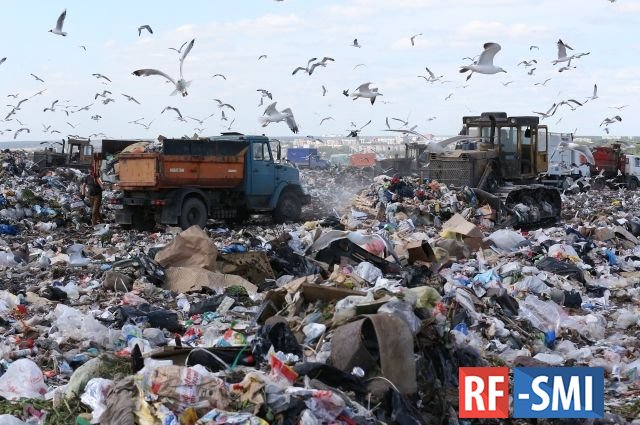 В Петербурге появляются новые свалки с опасным мусором