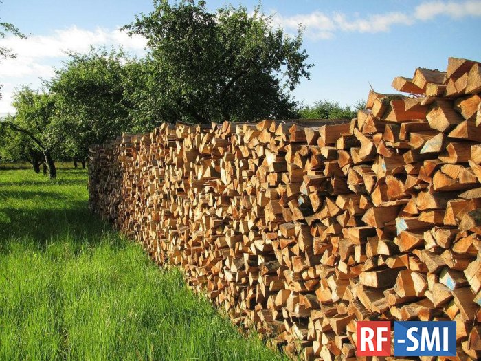 В Европе закончились дрова. Не шутка