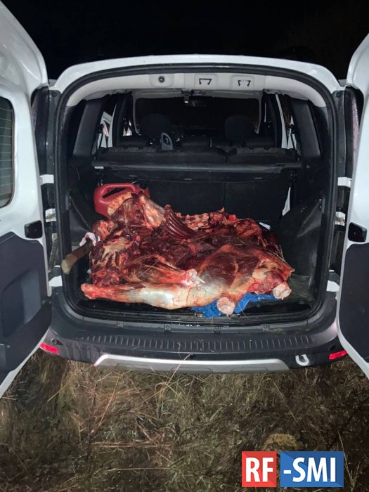 Пьяного депутата Рашкина поймали за рулем автомобиля с тушей убитого лося