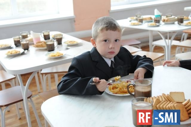 Человеческий фактор: почему российских школьников до сих пор кормят просрочкой