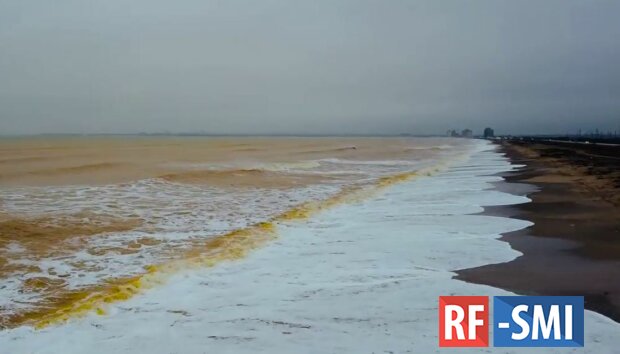 Море на западе Крыма у побережья Евпатории окрасилось в золотой цвет