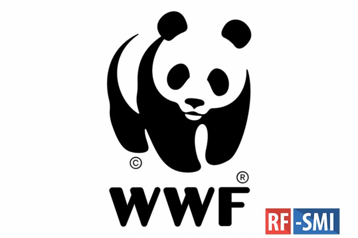  WWF           