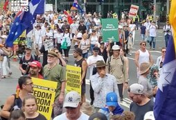 Антиваксеры устроили марш в поддержку Джоковича