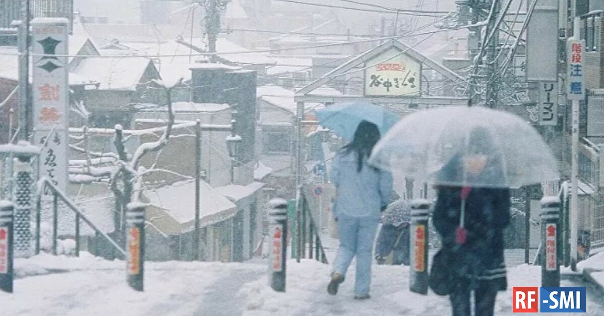 Япония угрожает. Снегопад в Японии 2022. Сильный снегопад в Токио. Бывает ли снег в Японии. В районе Токио из-за снега 1,8 тыс. Домов остаются без света.