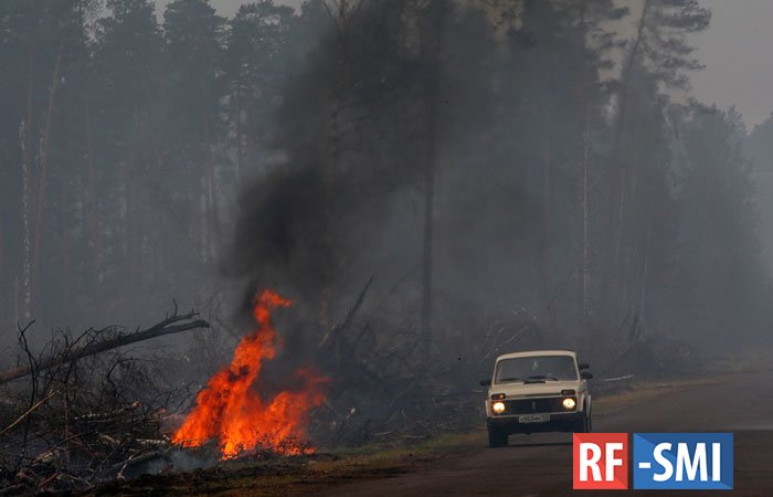 Лесные пожары в России стали катастрофическими раньше срока