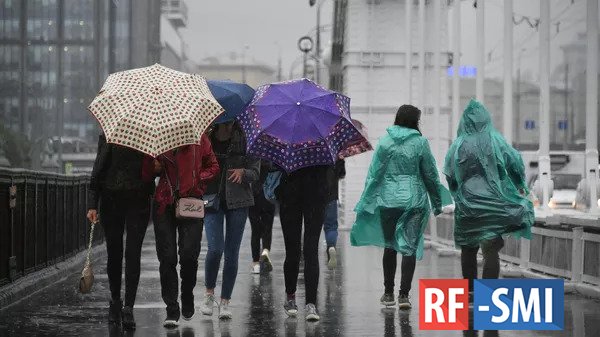 Жителей нескольких российских регионов ждут сильные дожди