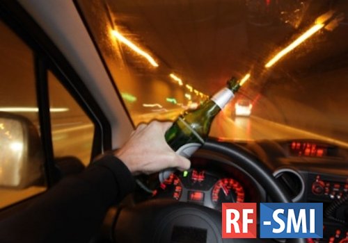 В Петербурге и Ленобласти за выходные задержали более 450 пьяных водителей
