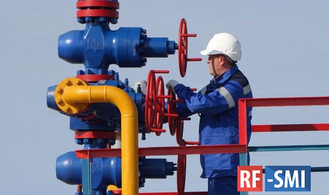 «Газпром» подтвердил остановку поставок в Нидерланды