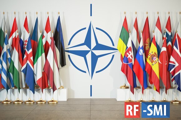 Турция объяснила нежелание пускать Финляндию и Швецию в НАТО