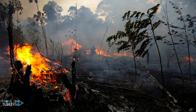 Власти Турции сообщили, что лесной пожар в районе Мармариса в основном взят под контроль
