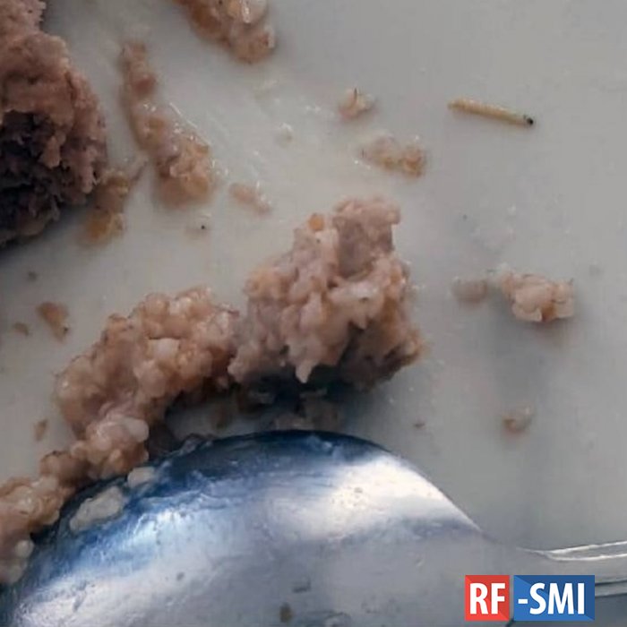 Детей в школе Пермского края накормили обедом с червями