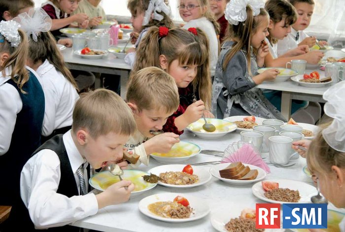 Правительство выделит 63 млрд рублей на школьное питание