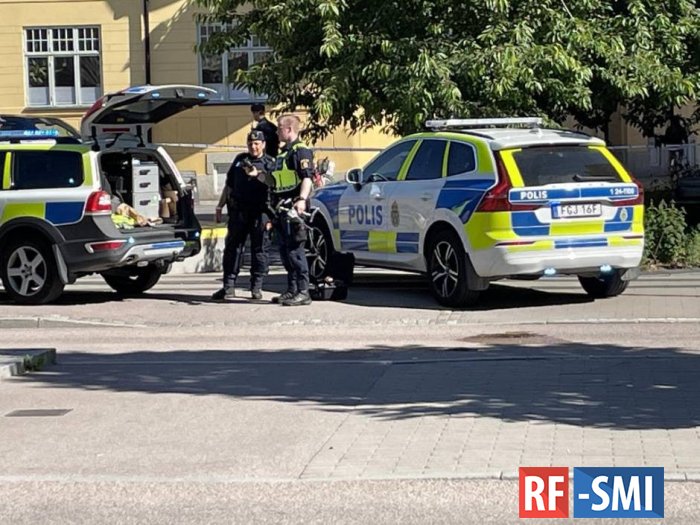 Два человека получили ранения в результате нападения в Швеции