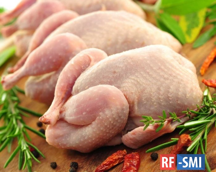 Экспорт мяса птицы из России с начала года вырос в два раза