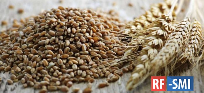 В Тюменской области ожидается рост объема сбора урожая зерна до 15%