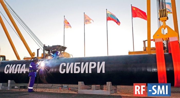 «Газпром» остановил прокачку газа по «Силе Сибири»
