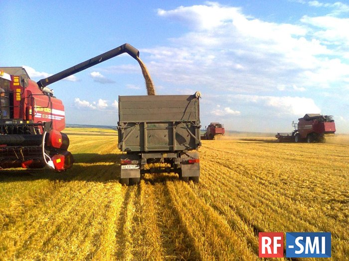 Урожай зерна в России побил абсолютный исторический рекорд