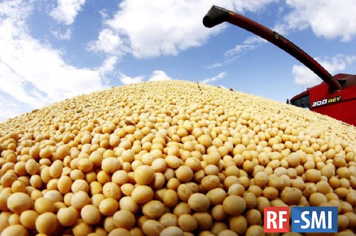 Урожай сои вырос на 58% в Липецкой области в текущем году