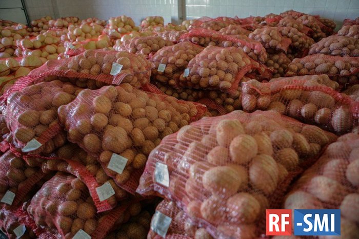 Почти 90% экспорта овощей из Красноярского края в 2022 году пришлось на картофель