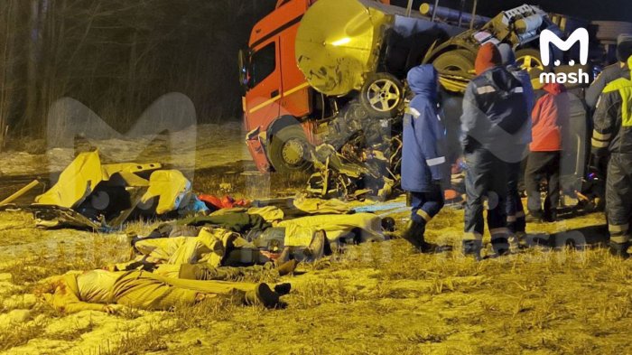 Девять человек погибли в аварии с грузовиком и микроавтобусом под Тулой